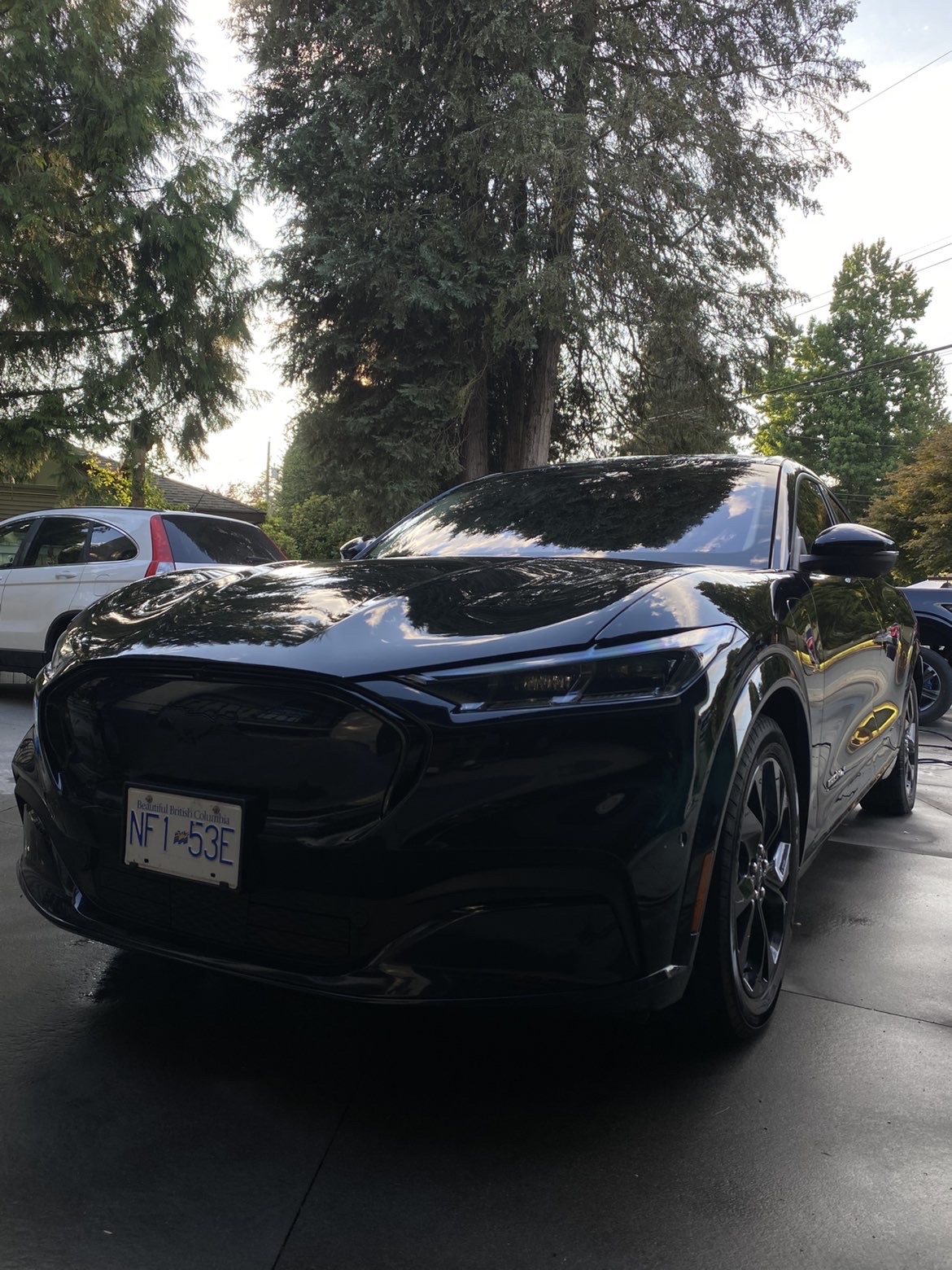 Black Ford Mustang Mach-E after a full exterior detail